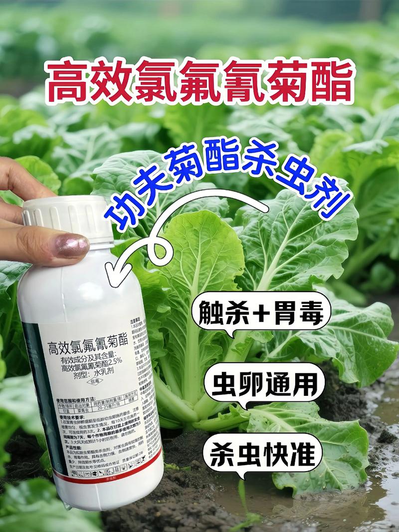 连云港代生中心:农药对供卵代生妈妈的危害